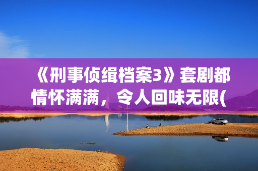 《刑事侦缉档案3》套剧都情怀满满，令人回味无限(刑事侦缉档案2国语版在线观看)