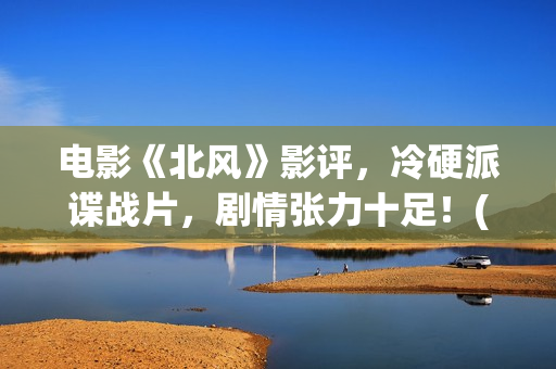 电影《北风》影评，冷硬派谍战片，剧情张力十足！(电影《北风》影评分析)