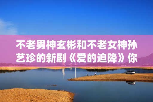 不老男神玄彬和不老女神孙艺珍的新剧《爱的迫降》你追剧了吗？(不老男神多少岁)