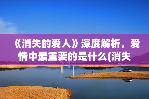 《消失的爱人》深度解析，爱情中最重要的是什么(消失的爱人截取的一段感情)
