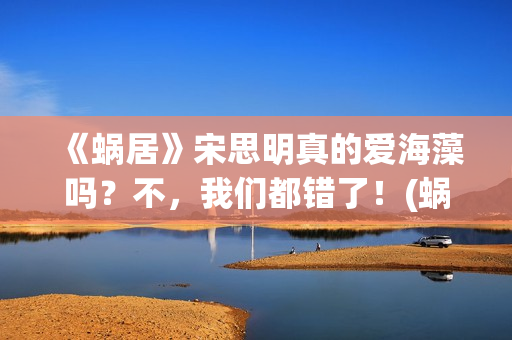 《蜗居》宋思明真的爱海藻吗？不，我们都错了！(蜗居宋思明是什么身份)