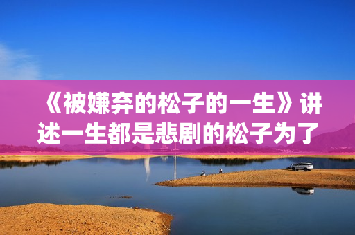 《被嫌弃的松子的一生》讲述一生都是悲剧的松子为了得到爱，一生都是取悦别人(被嫌弃的松子的一生经典台词)