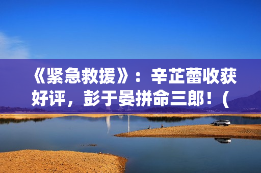 《紧急救援》：辛芷蕾收获好评，彭于晏拼命三郎！(紧急救援第九季)