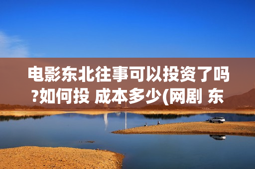 电影东北往事可以投资了吗?如何投 成本多少(网剧 东北往事)