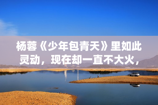 杨蓉《少年包青天》里如此灵动，现在却一直不大火，原因在这(少年包青天杨丽晓)