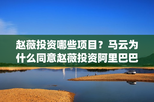 赵薇投资哪些项目？马云为什么同意赵薇投资阿里巴巴(赵薇投资的综艺节目)