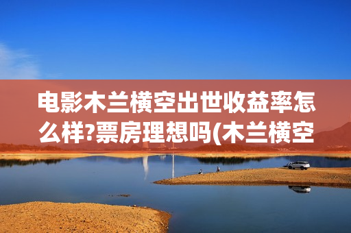 电影木兰横空出世收益率怎么样?票房理想吗(木兰横空出世在线完整版)