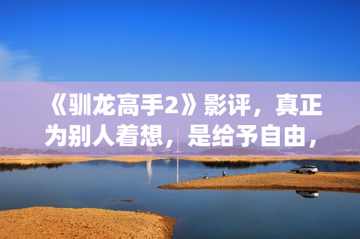 《驯龙高手2》影评，真正为别人着想，是给予自由，这才是真的爱(驯龙高手2免费观看在线播放)