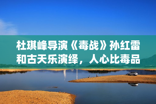 杜琪峰导演《毒战》孙红雷和古天乐演绎，人心比毒品更可怕(电影杜琪峰)