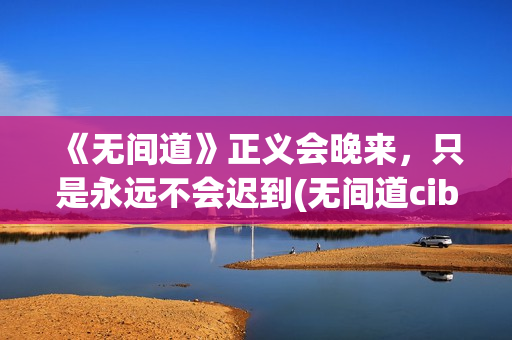 《无间道》正义会晚来，只是永远不会迟到(无间道cib)