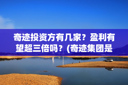 奇迹投资方有几家？盈利有望超三倍吗？(奇迹集团是做什么的)