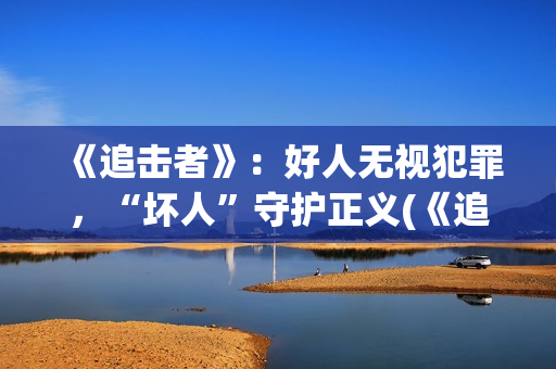 《追击者》：好人无视犯罪，“坏人”守护正义(《追击者》解析)