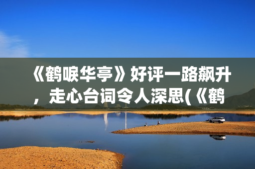 《鹤唳华亭》好评一路飙升，走心台词令人深思(《鹤唳华亭》好看吗)
