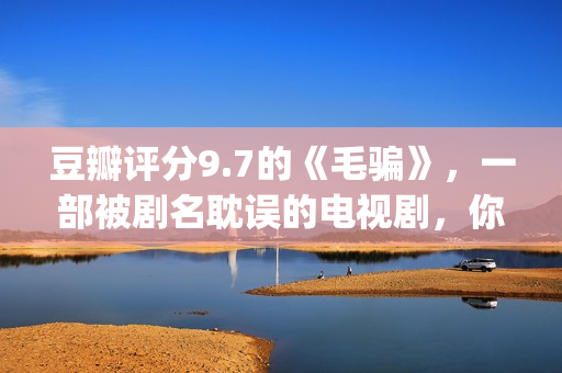 豆瓣评分9.7的《毛骗》，一部被剧名耽误的电视剧，你看过没？(豆瓣评分9.5)