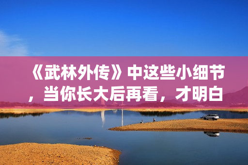 《武林外传》中这些小细节，当你长大后再看，才明白社会的险恶！(武林外传中白展堂的绝招是)