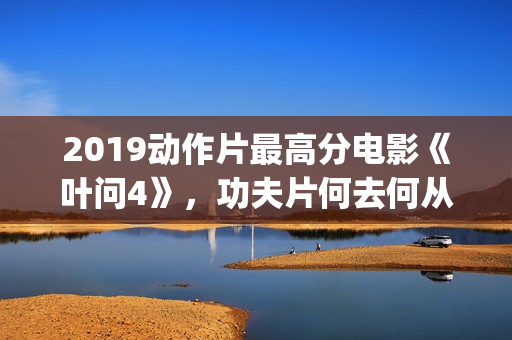 2019动作片最高分电影《叶问4》，功夫片何去何从？(2019年十大动作片)