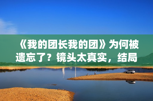《我的团长我的团》为何被遗忘了？镜头太真实，结局太虐心(我的团长我的团演员表)