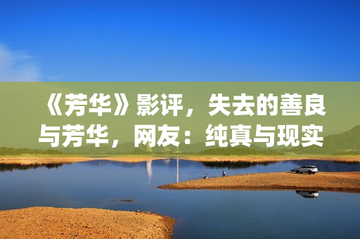《芳华》影评，失去的善良与芳华，网友：纯真与现实(《芳华》影评)