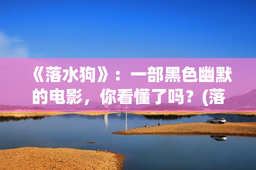 《落水狗》：一部黑色幽默的电影，你看懂了吗？(落水狗终极解读)