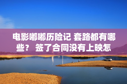 电影嘟嘟历险记 套路都有哪些？ 签了合同没有上映怎么办？(嘟嘟奇遇记)