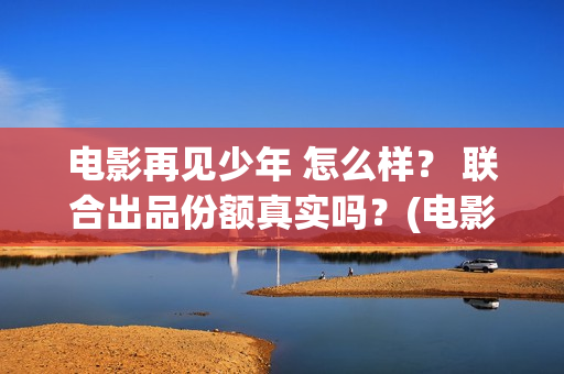 电影再见少年 怎么样？ 联合出品份额真实吗？(电影再见少年结局是什么)