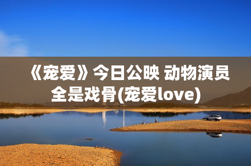 《宠爱》今日公映 动物演员全是戏骨(宠爱love)