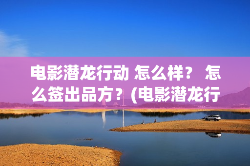 电影潜龙行动 怎么样？ 怎么签出品方？(电影潜龙行动)