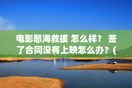 电影怒海救援 怎么样？ 签了合同没有上映怎么办？(电影怒海救援免费播放)