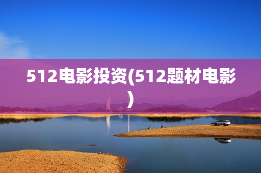 512电影投资(512题材电影)