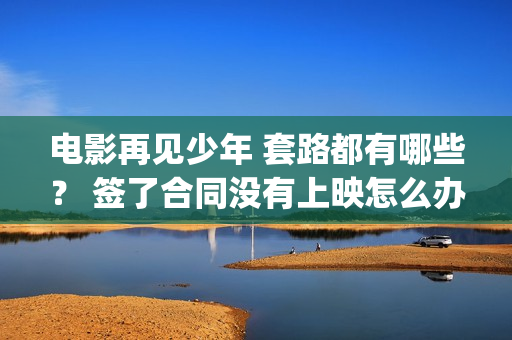 电影再见少年 套路都有哪些？ 签了合同没有上映怎么办？(电影再见少年剧情介绍)