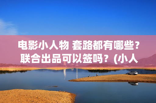 电影小人物 套路都有哪些？ 联合出品可以签吗？(小人物这部电影)