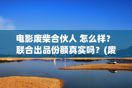 电影废柴合伙人 怎么样？ 联合出品份额真实吗？(废柴兄弟 百度百科)