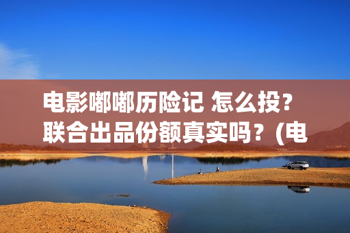 电影嘟嘟历险记 怎么投？ 联合出品份额真实吗？(电影嘟嘟历险记在线观看)
