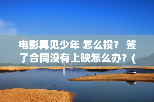 电影再见少年 怎么投？ 签了合同没有上映怎么办？(电影再见少年剧情介绍)