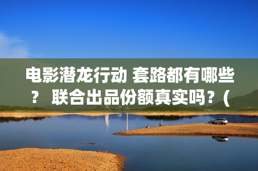 电影潜龙行动 套路都有哪些？ 联合出品份额真实吗？(潜龙行动免费)
