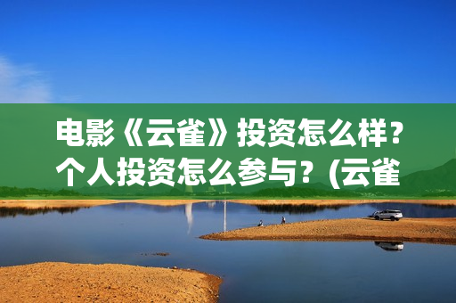 电影《云雀》投资怎么样？个人投资怎么参与？(云雀电影拍得怎么样了)