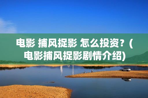电影 捕风捉影 怎么投资？(电影捕风捉影剧情介绍)