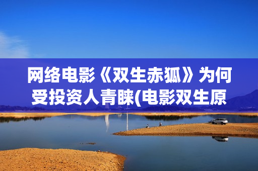 网络电影《双生赤狐》为何受投资人青睐(电影双生原著小说)