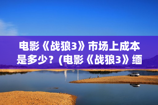 电影《战狼3》市场上成本是多少？(电影《战狼3》缅北营救)