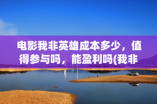 电影我非英雄成本多少，值得参与吗，能盈利吗(我非英雄在线播放大地影院)