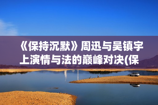 《保持沉默》周迅与吴镇宇上演情与法的巅峰对决(保持沉默讲的什么)