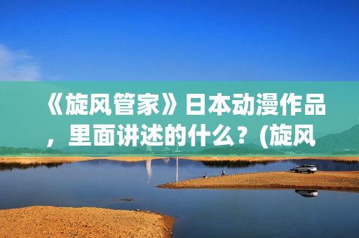 《旋风管家》日本动漫作品，里面讲述的什么？(旋风管家第一季ova)
