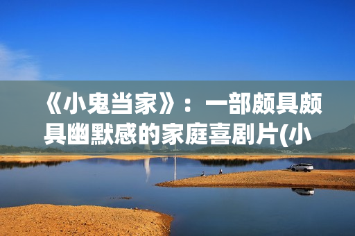 《小鬼当家》：一部颇具颇具幽默感的家庭喜剧片(小鬼当家2在线观看)