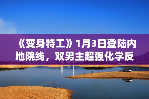 《变身特工》1月3日登陆内地院线，双男主超强化学反应(《变身特工》)