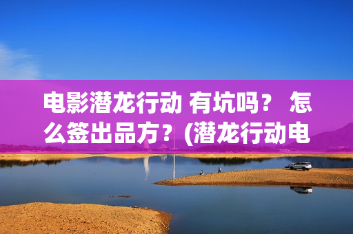 电影潜龙行动 有坑吗？ 怎么签出品方？(潜龙行动电影大结局)