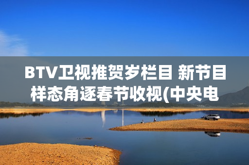 BTV卫视推贺岁栏目 新节目样态角逐春节收视(中央电视台贺岁杯)