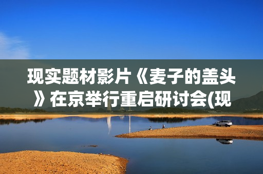 现实题材影片《麦子的盖头》在京举行重启研讨会(现实题材高分电影)