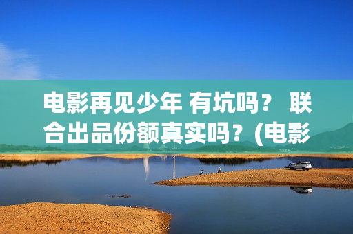 电影再见少年 有坑吗？ 联合出品份额真实吗？(电影再见少年剧情详细)