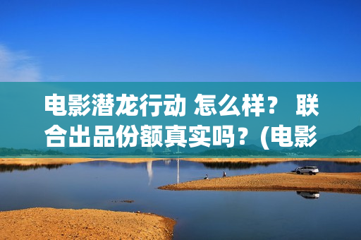 电影潜龙行动 怎么样？ 联合出品份额真实吗？(电影潜龙行动)