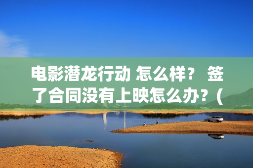 电影潜龙行动 怎么样? 签了合同没有上映怎么办?(电影潜龙行动演员表) 电影潜龙行动 怎么样? 签了合同没有上映怎么办?(电影潜龙行动演员表)